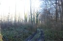 Petit chemin du Bois de Cuise